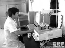 谷神生物 創新驅動發展，技術與產品動態全面解析